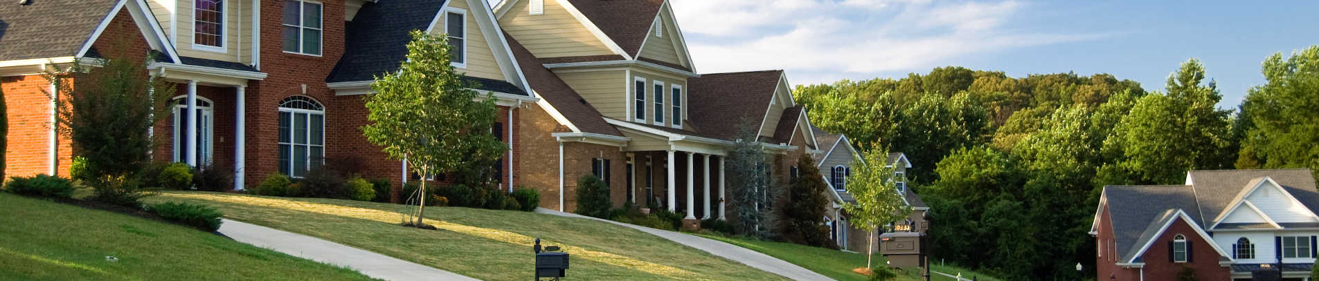 banner-home