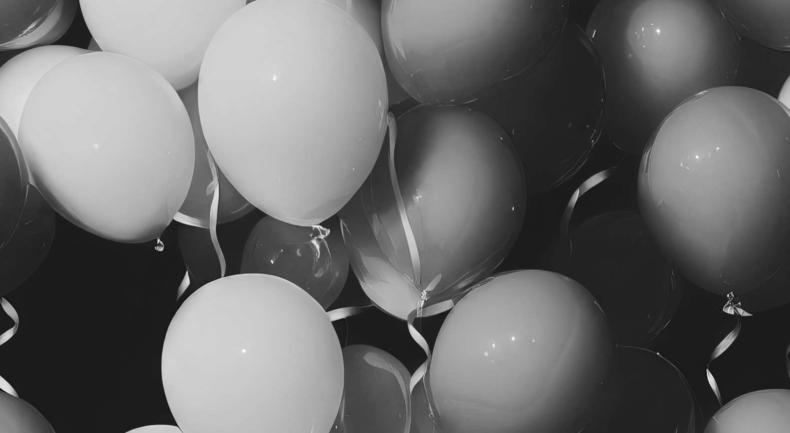 history-banner