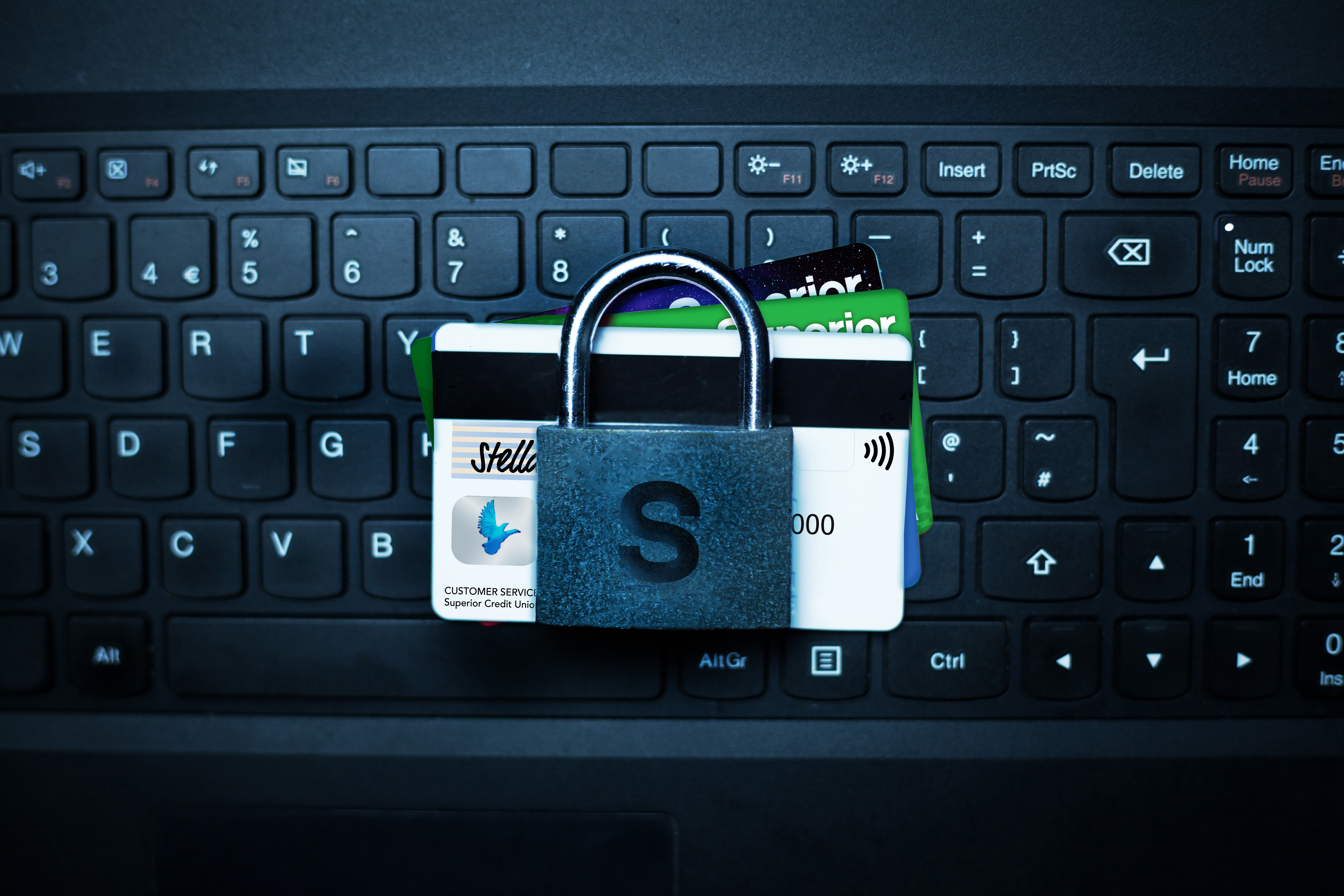 Fraud Page